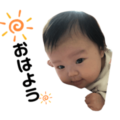 panda_20191124120826