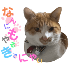 hannah_20191211185941