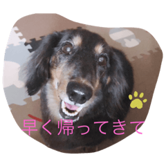 risa_20191123140831