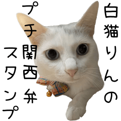 White cat Rin Kansai dialect sticker
