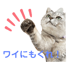 eririn_20191123213648