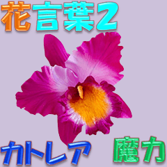 flower language 2