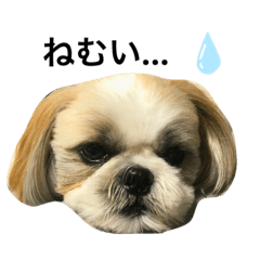 yamada_20191211213629