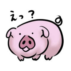 Stickers of cute pig