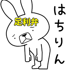 Dialect rabbit [ahikaga3]