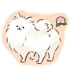 ぽめらにゃん - LINE スタンプ | LINE STORE