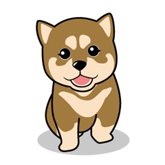 Japanese Shiba Inu