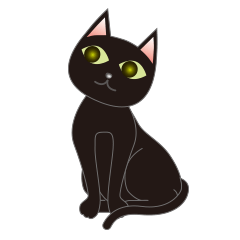 Niya of black cat