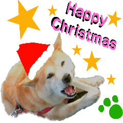 Mameshiba's Christmas.DOG Christmas