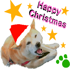 Get Mameshiba S Christmas Dog Christmas Line Stickers Line Store For Android Free Get Wallpaper Mameshiba S Christmas Dog Christmas Line Stickers Line Store For Android Free