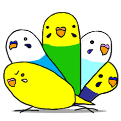 セキセイインコスタンプ - LINE スタンプ | LINE STORE セキセイインコスタンプ - LINE スタンプ | LINE STORE