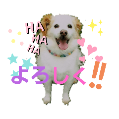 satoshi_20191212124338