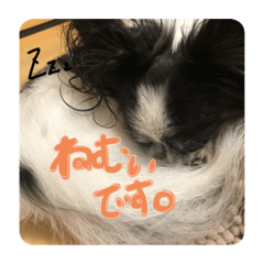 nanami_20191212132131