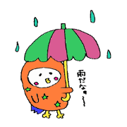 owl's summer activity
