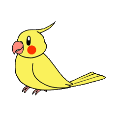 オカメインコの日常 鳥さんと一緒01 Line スタンプ Line Store オカメインコの日常 鳥さんと一緒01 Line スタンプ Line Store