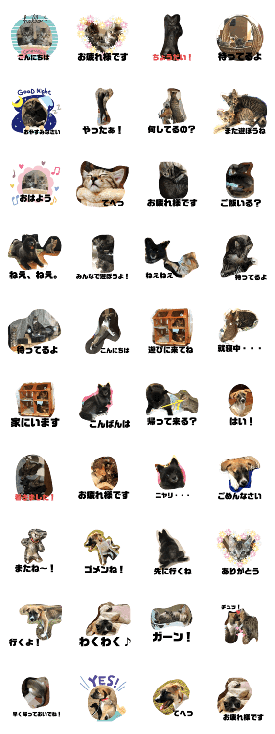 ぜんすけブラザーズ犬 猫 Lineクリエイターズスタンプ Stamplist