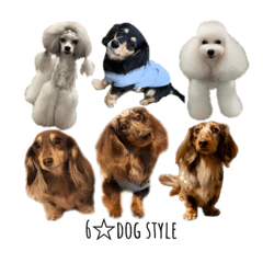 6dogstyle
