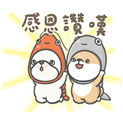 Hi John's John and Shiba Are Moving