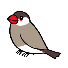 "Daily Java sparrow" With bird 02