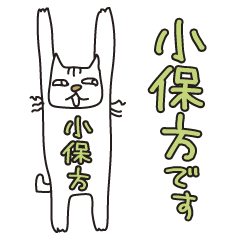 Only for Mr. Obokata Banzai Cat