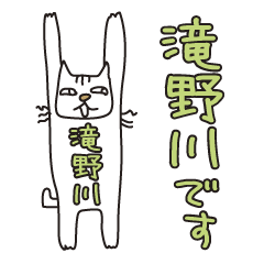 Only for Mr. Takinogawa Banzai Cat