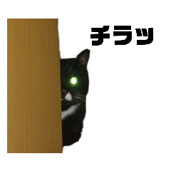 satoshi_20191212195026