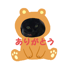 miyoko_20191212184824