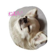 peace_20191212184854