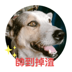 寶貝的一家