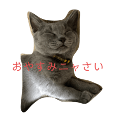 chie_20191212223732