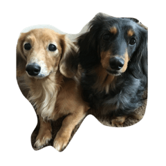 arisa_20191213082516