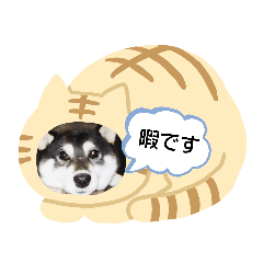 SUZU_20191213142734