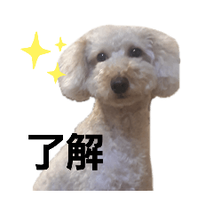 D_20191213142021