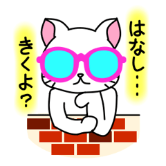 sunglasses cat shirosan