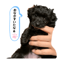 rina_20191213160855