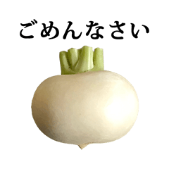 kabu turnip 2