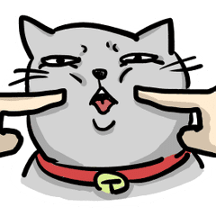 Funny Cats Line Stickers Line Store