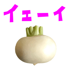 kabu turnip 6