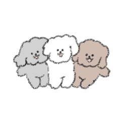 Moving! Toy poodle