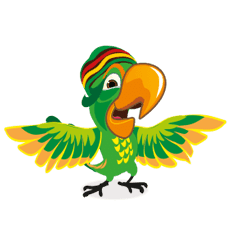 Reggae Parrot