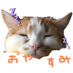 YN_20191213235829