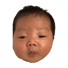 suzu_20191213230230