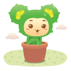 LiLi Cactus