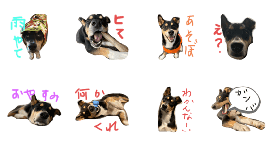 おこぼれちょうだい犬maru Lineクリエイターズスタンプ Stamplist