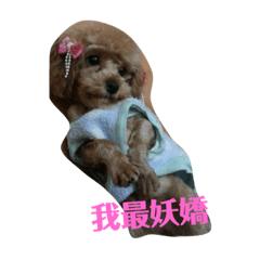 泡泡胖胖小寶貝