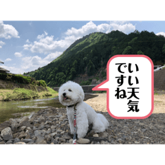 siro_20191214023332