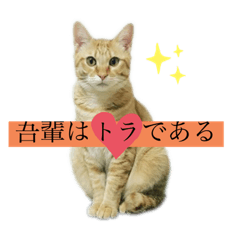 nanana_20191214045903