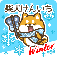 Shiba Kenichi in Winter