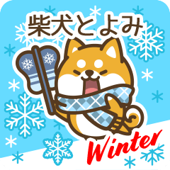 Shiba Toyomi in Winter