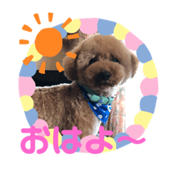 yukari_20191214130303